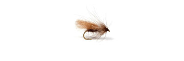 Fliegen