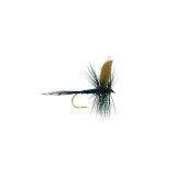 Black Gnat #14