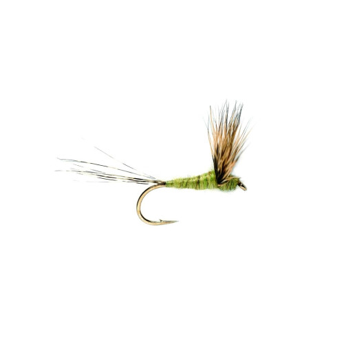 Compara Dun Olive #14