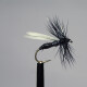 Black Ant Winged #16
