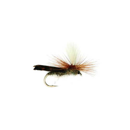 Parachute Caddis #12