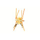 Flexo Crab Sand #2