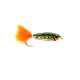 Roach Fry #8
