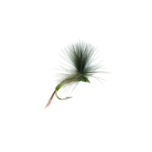 CDC Para Emerger Olive #14