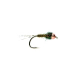 Biot Olive #16