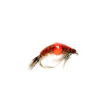 Spot On Shrimp Tan