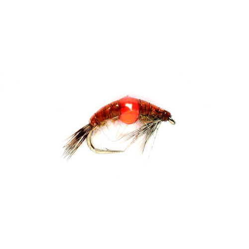 Spot On Shrimp Tan #14