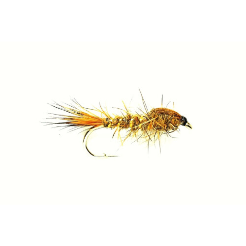 Gold Ribbed Hares Ear #8