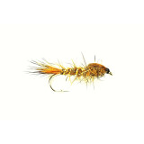 Gold Ribbed Hares Ear #10
