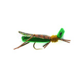 Grasshopper Olive Foam #10