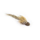 Sculpin Brown #4