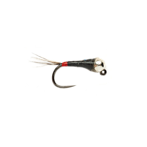 SR Spanish Bullet French #14