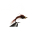 A.P.s Beadhead Pheasant Tail
