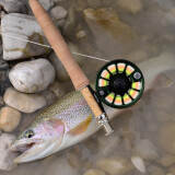 Royal Wulff Joan Wulff Signature Fly Line #4