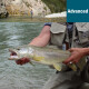 Guiding Packages Alpen