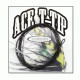 Vision Ace T-Tip Level Tungsten T10 15ft