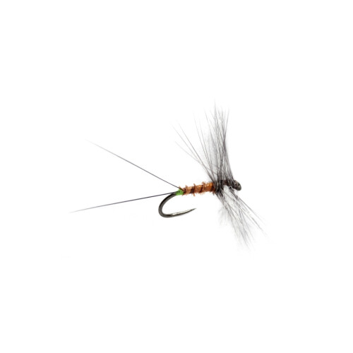 Crostons Cripple Spinner #18