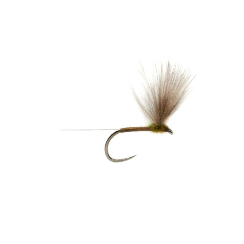 CDC Baetis Dun Olive