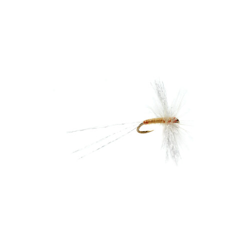 OE Semi Circle Spinner Pale Watery #20