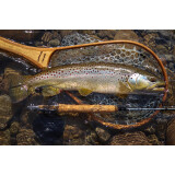 Douglas Sky G Freshwater Fly Rod