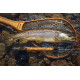 Douglas Sky G Freshwater Fly Rod