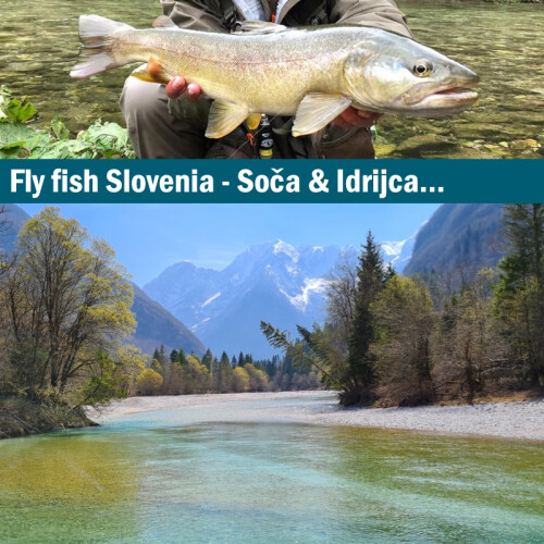 Fliegenfischerreise Slovenien Soca & Idrica