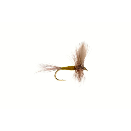 Blue Winged Olive #12