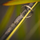 Vision XO III Fly Rod