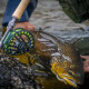 Vision XO III Fly Rod