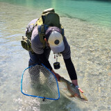 Fliegenfischerreise Slovenien Sava Bohinka & Dolinka