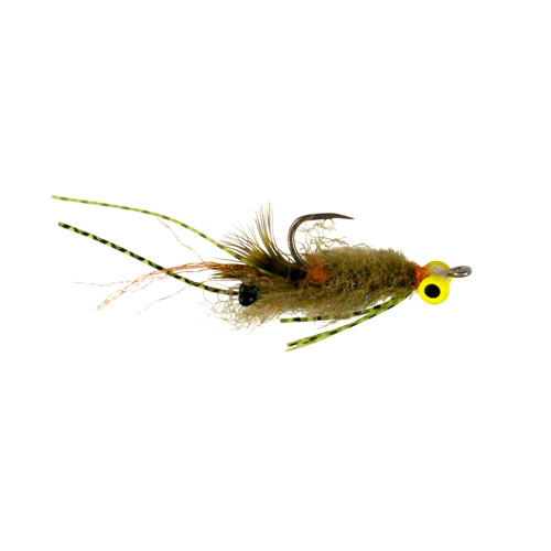 CF 324 TR Permit Olive/Green legs/Fluo Yellow Eyes #2