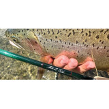 Winston AIR 2 Trout 5-Piece Fly Rod