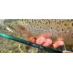 Winston AIR 2 Trout 5-Piece Fly Rod