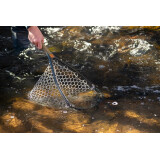 Fishpond Nomad Yampa Hand Net Brown Trout 2.0