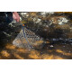 Fishpond Nomad Yampa Hand Net Brown Trout 2.0