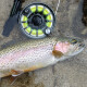 Royal Wulff Triangle Taper Plus Fly Line