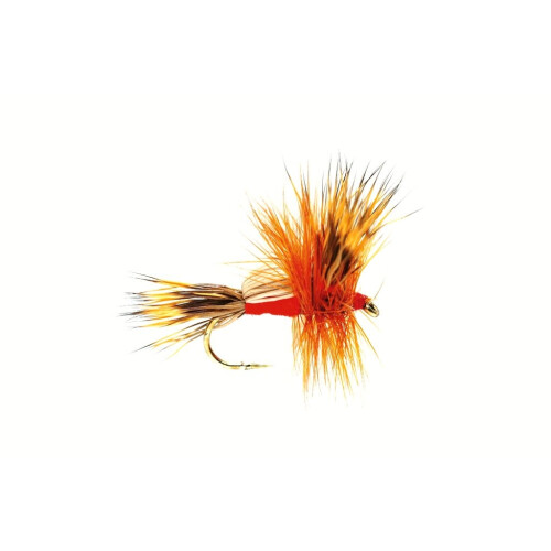 Humpy Red