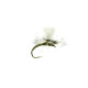 Grey Emerger #16