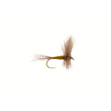 Blue Winged Olive