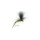 CDC Para Emerger Olive