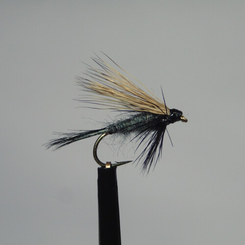 Needle Fly #16