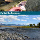 Fly fishing journey Montana USA 2026