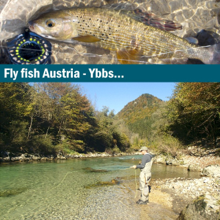Fly fishing journey Austria Ybbs