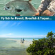 Fliegenfischerreise Mexico